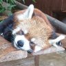 サルサ profil fotoğrafı