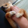 jun_kushi profil fotoğrafı
