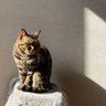 Willey Tan profil fotoğrafı