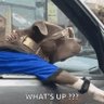 GEORGIA BOI67's profile picture