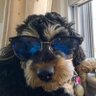 money decoder's profile picture