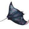 Фото профиля Manta_r4y