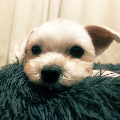 ハルくん's profile picture