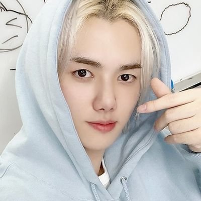 🐶🐰's profile picture