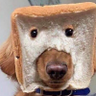 Lydia's profile picture