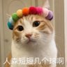 李河 的头像