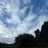 ののたん 的头像