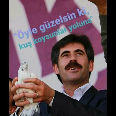 Aslı Kaya's profile picture