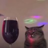 purple's profile picture