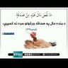 hamad 的头像