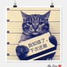 Фото профиля 青天白日