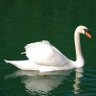 भाति मे भारतम् profil fotoğrafı