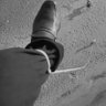 DavidWithAnE's profile picture