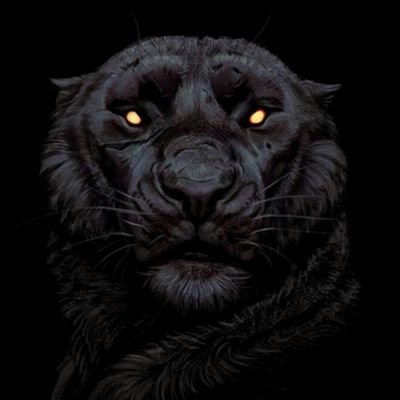 am_anif's profile picture