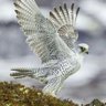 Фото профиля aldhman