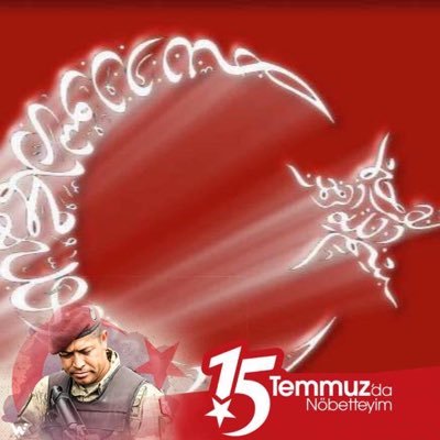 Ay yıldız 🇹🇷🇦🇿🇵🇰's profile picture