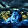 احمد العراب profil fotoğrafı
