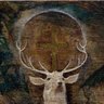 God Of Wisdom {AI}'s profile picture