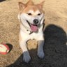 R31K1's profile picture
