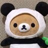 Profilbild von Lucille愛