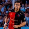 Fernando Gamboa's profile picture
