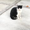 ura_makoto1003 profil fotoğrafı
