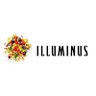 ILLUMINUS(イルミナス) 的头像