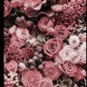 Фото профиля ام الازهار
