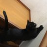デブるメイクライ profil fotoğrafı