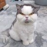 Jack profil fotoğrafı