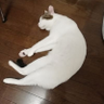 るん profil fotoğrafı