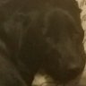 Profilbild von Hicka And Sweetness