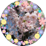 東 的头像