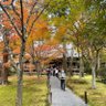 たかたかじゅんじゅん profil fotoğrafı