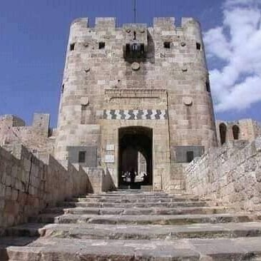 aleppo1syria's profile picture