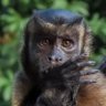 Profilbild von Harambe The Fella 🇺🇸 🇺🇦 8647