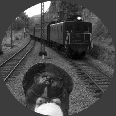 瀬戸's profile picture