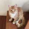 Violeta profil fotoğrafı