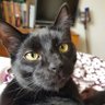 Miniszlan⁷ ♌'s profile picture