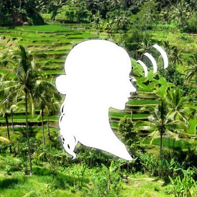 Sanc✨🌴's profile picture