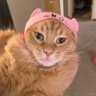 The Vulfmon's profile picture