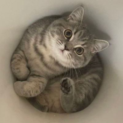 IWASHI_0723's profile picture