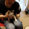 ミヤベカツヤ profil fotoğrafı