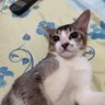 Citra's profile picture