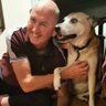 dave beament's profile picture