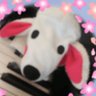 ohirunesukisuki's profile picture