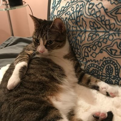 sundancekid97's profile picture
