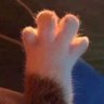 空's profile picture