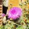 WeAreNature profil fotoğrafı