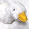 є(•⌔•)эダックスのジジ（まったり?🐣更新中𓅯🌏️🐤🐈️🐕️🐓🕊️🐦️🦅's profile picture